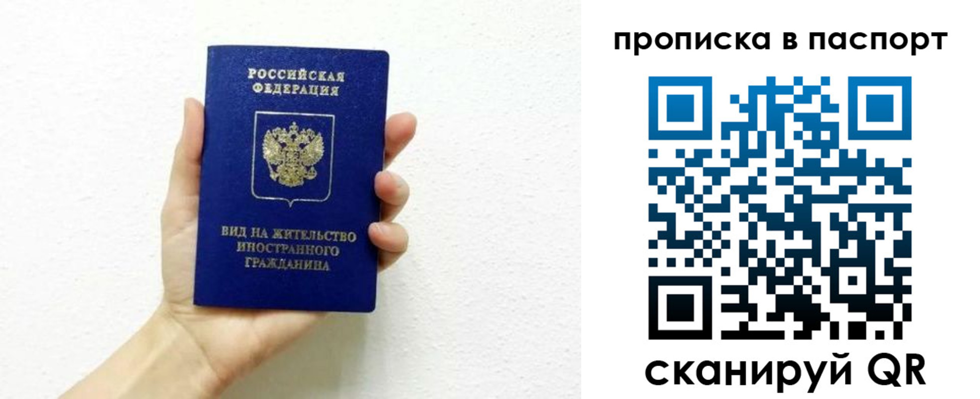 прописка законно в Ейске
